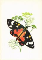 12 db modern motívumlap lepkékkel és pillangókkal / 12 modern motive cards with butterflies