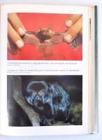 Shuker, dr. Karl: Noé elveszett bárkája. Debrecen, 1996. Alexandra. Kiadói kartonálásban, papír védő...