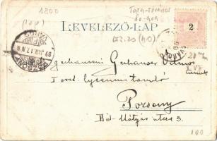 1899 Budapest - 2 db régi szecessziós lap: Nemzeti múzeum (ezüstös fóliás képeslap), Budapesti szính...