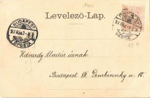 1899 Pozsony, Pressburg, Bratislava; Városi színház. Carl Otto Hayd Nr. 6327. / theatre