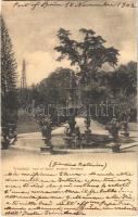 1902 Trinidad, Port of Spain Botanic Gardens