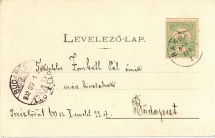 1902 Bakóca, látkép, templom, Majláth kastély. Kiadja a Bakóca és Vidéke Keresztény Fogyasztási Szöv...