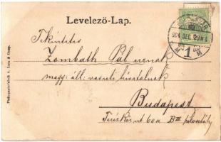 1904 Kolozsvár, Cluj; Kribl villa. Rajta a Kribl család újévi jókívánsága / villa. New Year greeting...