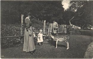 1909 Buchberg, Zum Andenken a. d. zahmen Damhirsch Liesl im Herbersteiner Tiergarten. Phot. u. Verlag A. Wallner / fallow deer in the zoo (EK)