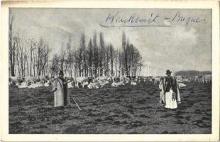 Kecskemét - 5 db régi városképes lap, zsinagóga / 5 pre-1945 town-view postcards, synagogue