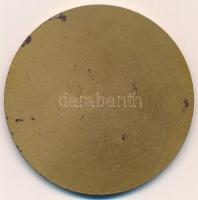 1959. "A Békéért - Eredményes Munkáért - 1949-1959" egyoldalas Br plakett, eredeti tokban ...