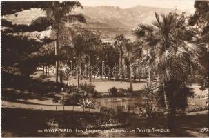 Monte-Carlo, Les Jardins du Casino, La Petite Afrique / gardens of the casino, Little Africa, photo