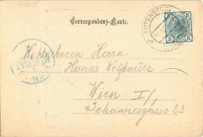 1905 Gutenstein, Ruine / castle ruins. Xlographisches Atelier C. Binder