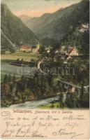1905 Wildalpen, general view, bridge. K. Ledermann 4415 C