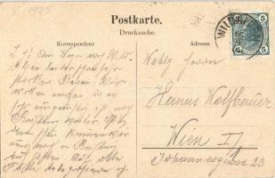 1905 Wildalpen, general view, bridge. K. Ledermann 4415 C