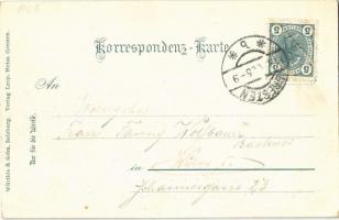 1905 Gresten, street view. Verlag Leop. Heiss