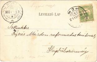 1903 Szécsény, Nagyszécsény; Fő utca, Gross  kastély déli része, Haynald kapu. Körmendy Géza kiadása...