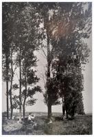 Angelo (1894-1974): Kis furulyám, pecséttel jelzett, feliratozott fotó, 39×27 cm