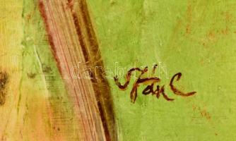 Szász jelzéssel: Szakállas női fej. Olaj, farost, keretben, 50×40 cm