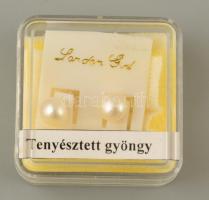 Gyöngyház kagyló 15 cm és stiftes gyöngyház fülbevaló