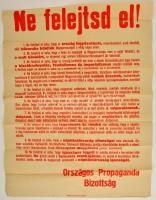 1918 Ne felejtsd el! Népköztársasági propaganda plakát, irredenta szöveggel. 59x67 cm