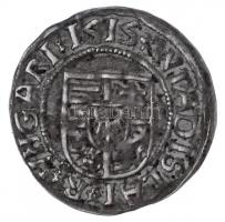 1515K-G Denár Ag "II. Ulászló" (0,61g) T:2
Hungary 1515K-G Denar Ag "Wladislaus II&q...