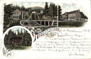 1895! Karlsbrunn Litho