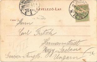 1902 Budapest I. Látkép, Margitsziget, Lánchíd. Dr. Trenkler és Trs.  (EK)