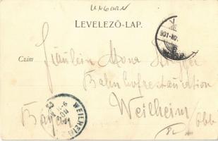 1901 Budapest I. Látkép a budai oldalról, Vigadó, gőzhajók. Walter Haertel No. 1712