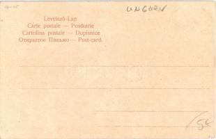 1903 Erdélyi szászok, folklór, népviselet / Volkstracht aus Siebenbürgen, Sächsische Bauerntracht / ...