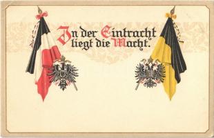 In der Eintracht liegt die Macht / Viribus Unitis propaganda. Flags and coats of arms. Emb. litho (tiny pinhole)