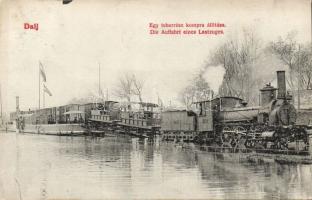 Dalj Shipping of a train