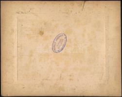 cca 1920 Szüreti mulatság. Koncz András dombovári fényképész pecséttel jelzett fotója kartonon 26x21...