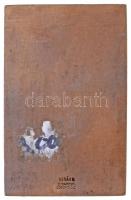 Berán Lajos (1882-1943) 1920. "Serényi Vándordíj" egyoldalas sí sport Br díjplakett, előla...