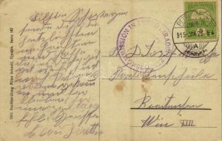 1915 Pétervárad, Petrovaradin (Újvidék, Novi Sad); vár, hajóhíd / castle, pontoon bridge (EK)