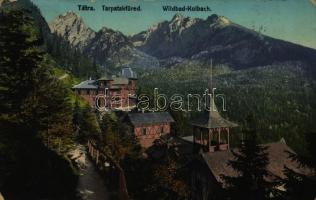 Tátra, Vysoké Tatry; Tarpatakfüred, Wildbad Kohlbach (EK)