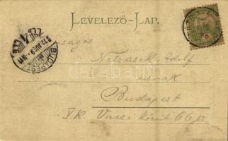 Tátra, Vysoké Tatry; Tarpatakfüred, Wildbad Kohlbach, Lomniczi csúcs / Lomnitcky stít