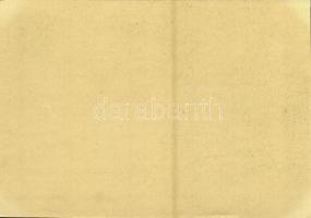 Festpostkarte zum Reichsparteitag / NSDAP German Nazi Party propaganda, Junkers Ju-52 (D-2600) Hitle...