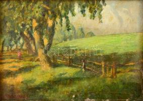 Perlmutter Izsák (1866-1932): Napos dombtető. Olaj, vászon, jelzett, keretben, 12,5×17 cm