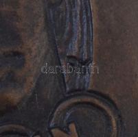 DN "Dr. Csík Ferenc 1913-1945 / Dr. Csík Ferenc emlékverseny Sopron" kétoldalas Br plakett...