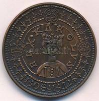 Fritz Mihály (1947-) 1992. "MÉE Székesfehérvár - Károly Róbert" Br emlékérem (42,5mm) T:1-