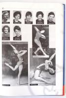 Fügedy Péter: Kilenc évtized piros-kék sikerei. 1911-2001. Bp.,2001, Vasas SC. Kiadói kemény-kötés, ...