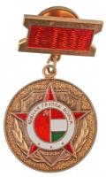 Szovjetunió 1991. 1956-1991 Déli Hadsereg Csoport Veterán Kitüntetés aranyozott és zománcozott kitüntetés T:1- Soviet Union 1991. 1956-1991 Southern Army Group Veteran Medal gold plated and enamelled medal C:AU