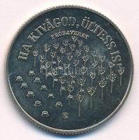 1984. 100Ft Cu-Ni "FAO III." jelzett próbaveret T:BU 
Hungary 1984. 100 Forint "FAO ...