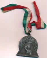 ~1960-1970. Úttörő fém kitüntető jelvény nemzetiszín szalaggal (38x39mm) T:2