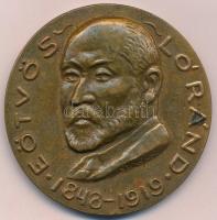 DN Eötvös Lóránd 1848-1919 / Magyar Geofizikusok Egyesülete kétoldalas Br plakett (60mm) T:1-,2 ph., kis patina