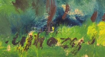 Újházy János (?-?): Dunakanyar. Olaj, karton, jelzett, 31×41 cm