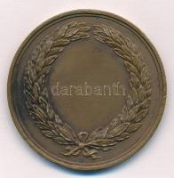 Josef Daniel Boehm (1794-1865) 1855. "Borúra Derű" kétoldalas Br emlékérem (45mm) T:2 ü., ...