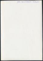 cca 1935 Kinszki Imre (1901-1945) budapesti fotóművész hagyatékából, pecséttel jelzett, vintage fotó...