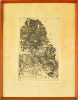 Csohány Kálmán (1925-1980): Szürke ló, rézkarc, papír, jelzett,foltos, üvegezett keretben, 29×19 cm