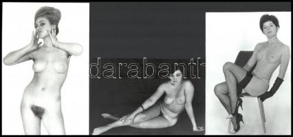 cca 1972 Hét leány - egy bugyi, szolidan erotikus felvételek, 7 db vintage fotó,14,5x6,5 cm és18x12 ...