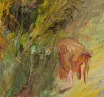 Bolling jelzéssel: Mosó asszony. Olaj, farost, keretben, 62,5×55,5 cm