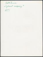 cca 1958 Szlovák asszony, 2 db vintage fotóművészeti alkotás Botta Ferenc (1919-1968) budapesti fotó...