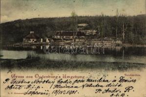 1901 Sopron, Oedenburg; Tómalom / Teichmühle (EK)