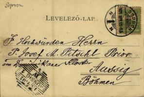 1901 Sopron, Oedenburg; Tómalom / Teichmühle  (EK)